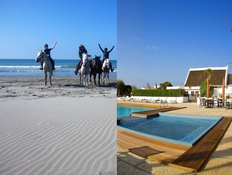 horse riding trip provence camargue