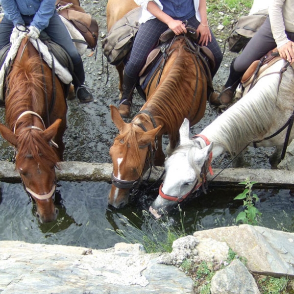 horse riding vacation in costa brava