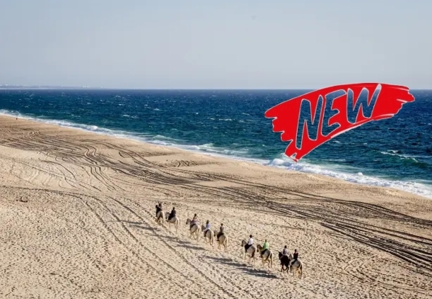 horse riding trail ride in portugal