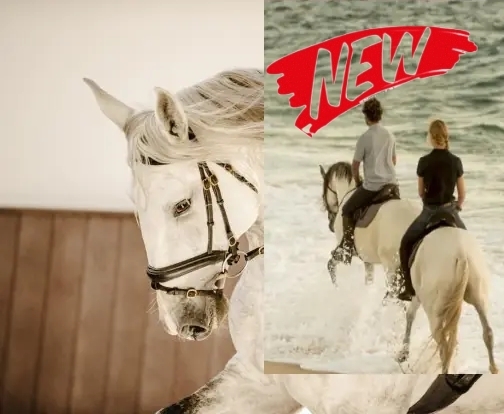 equestrian holidays in Portugal