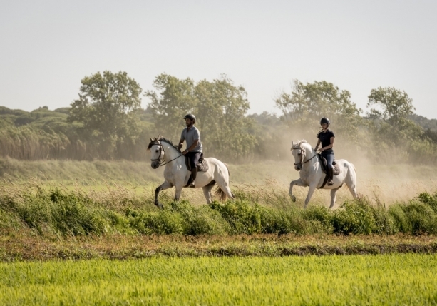 horse riding in portugal