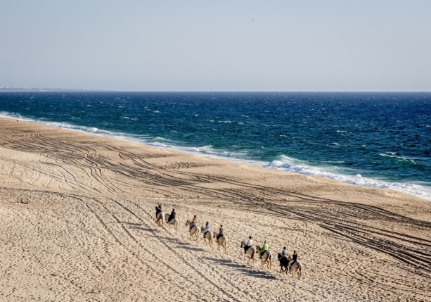 horse riding trail ride in portugal