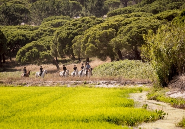 portugal a cheval