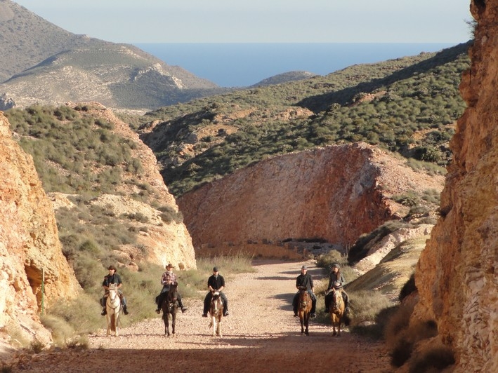 Andalusia horse riding