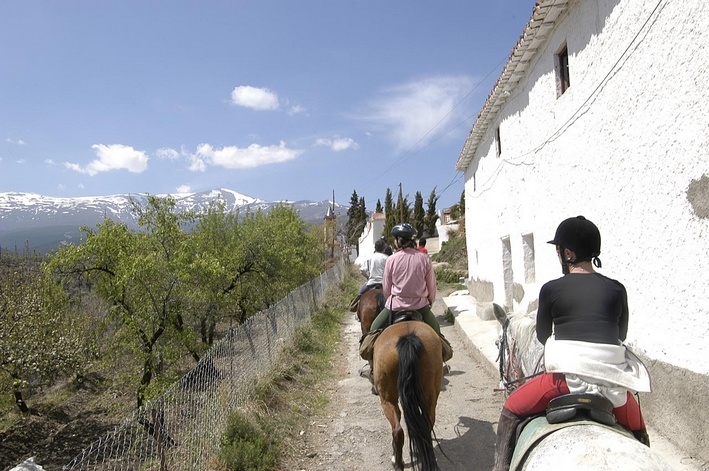 horse riding trail ride Andalusia