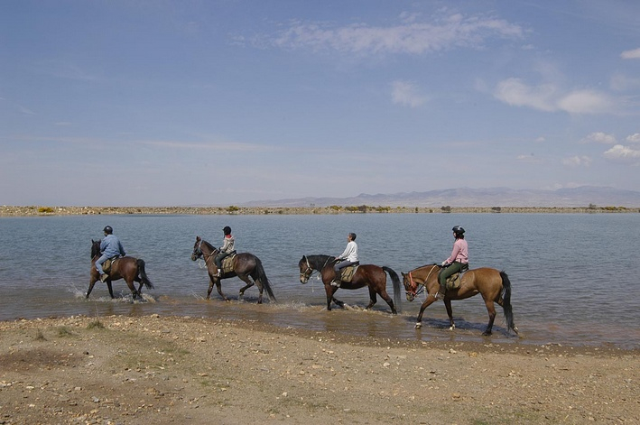 visit andalusia on horseback