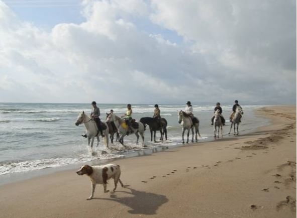 equestrian holiday in Spain