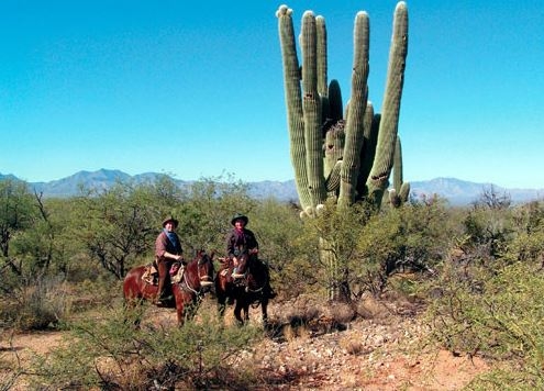 horseback riding Wyoming Usa