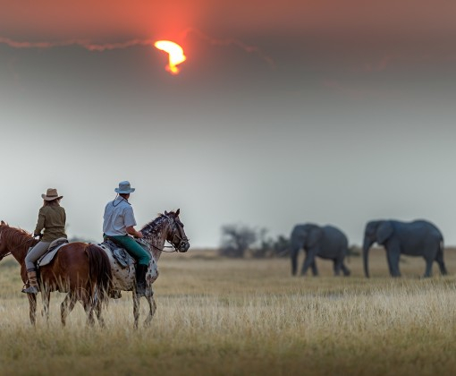equestrian safari South Africa