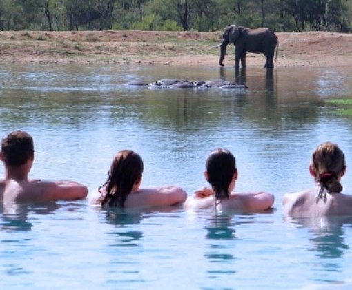 South Africa horse riding safari