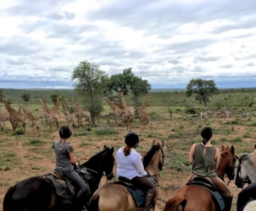 Botswana horse riding safari
