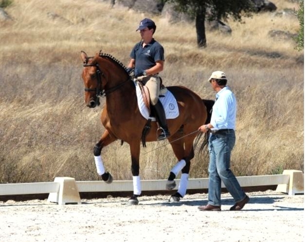 equestrian stay in Portugal