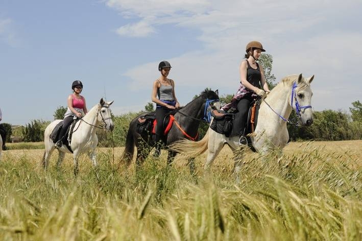 horse riding in spain