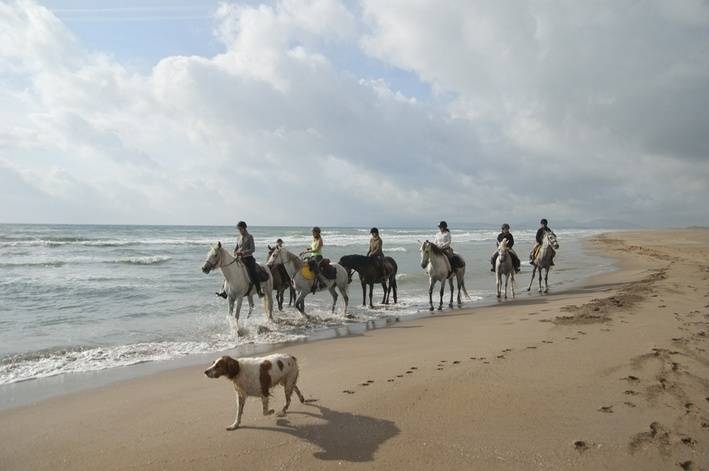 horseback riding in spain