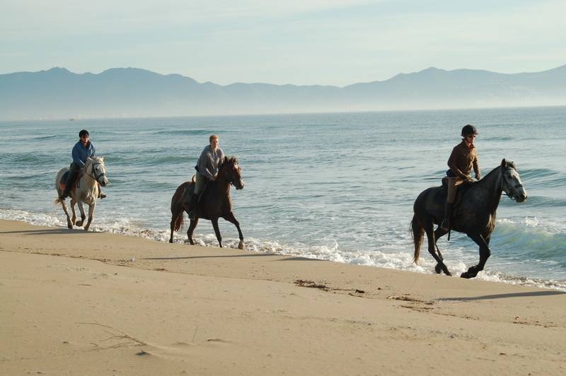 horse trail ride in spain