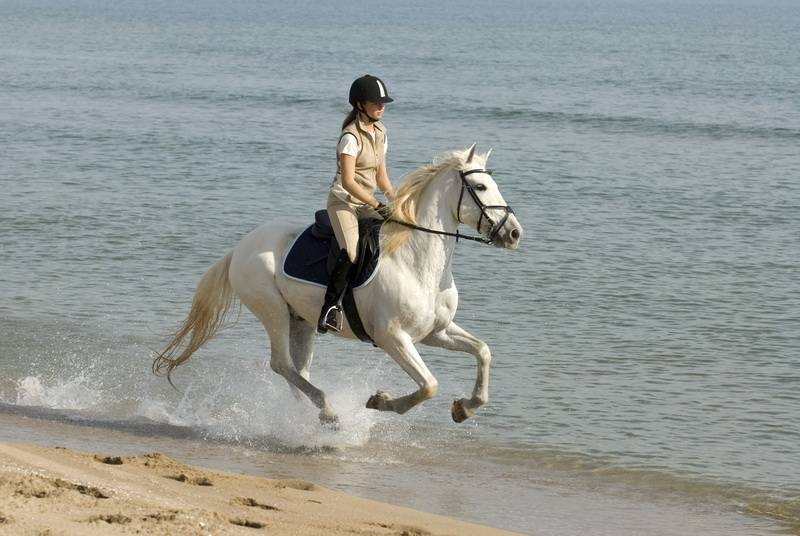 horse riding in costa brava