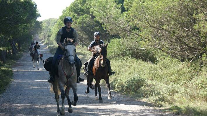 horseback riding holiday in costa brava