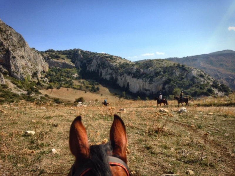 horseback riding trip in sicily