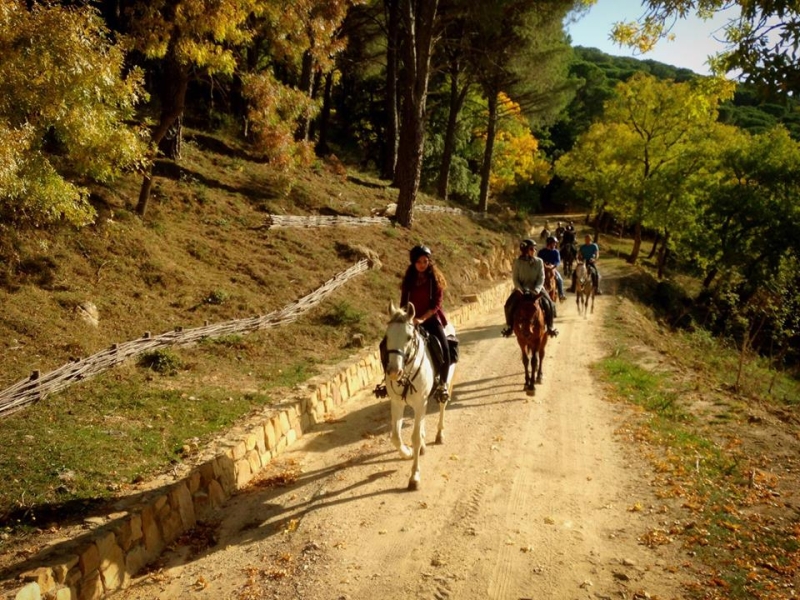 horse riding in sicily