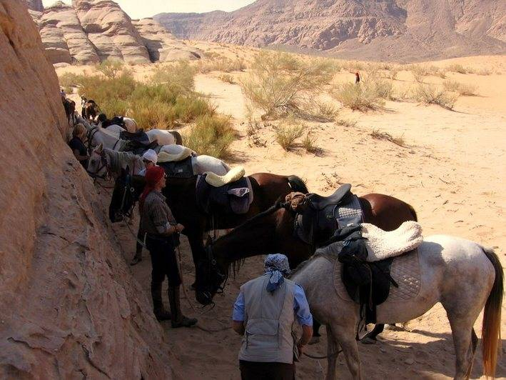 horseback riding vacation in jordan