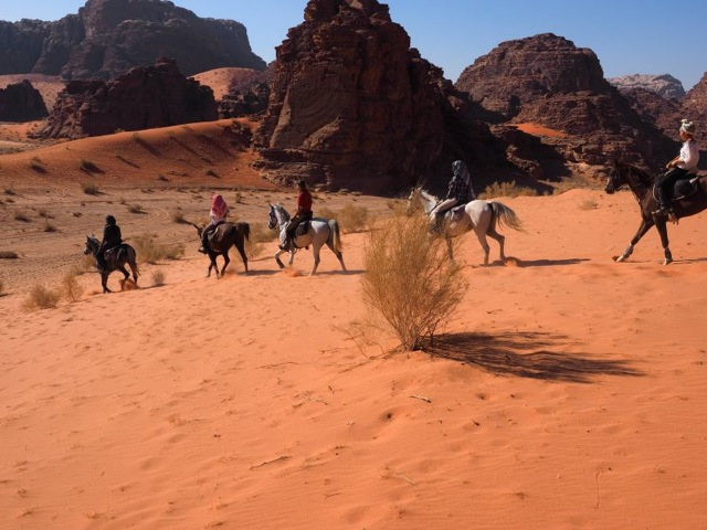 equestrian holiday in jordan desert