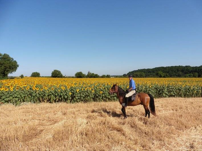 horse riding holiday Loire castles