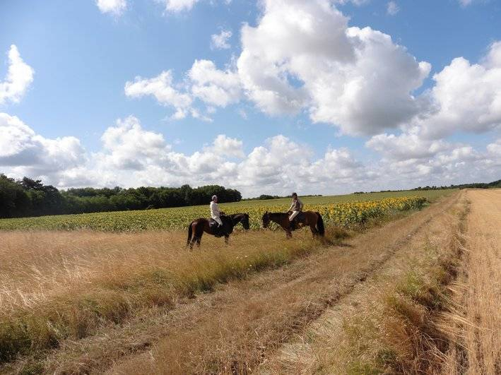 horse riding vacation Loire castles