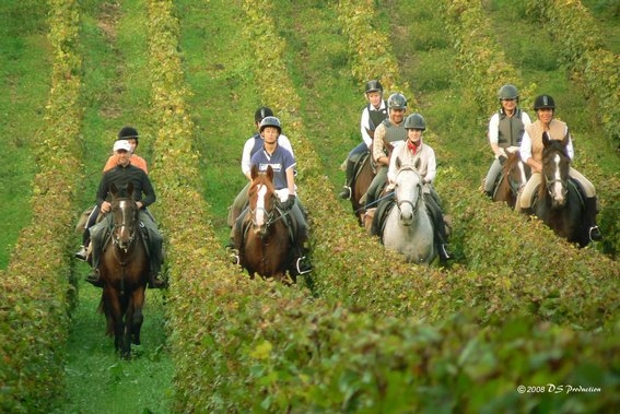 horseback trail ride bordeaux