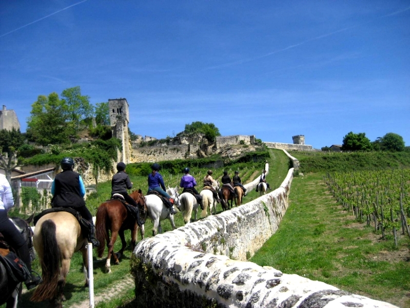 horse riding in bordeaux