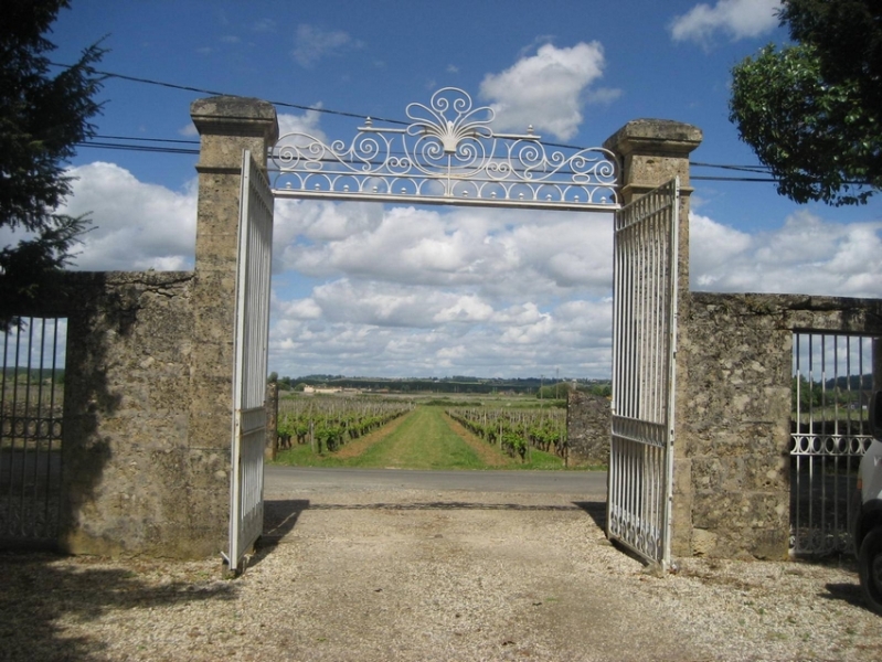 wine of bordeaux horseback ride