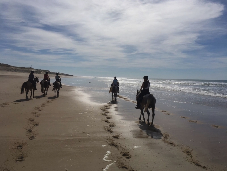 wine of bordeaux horseback trail ride