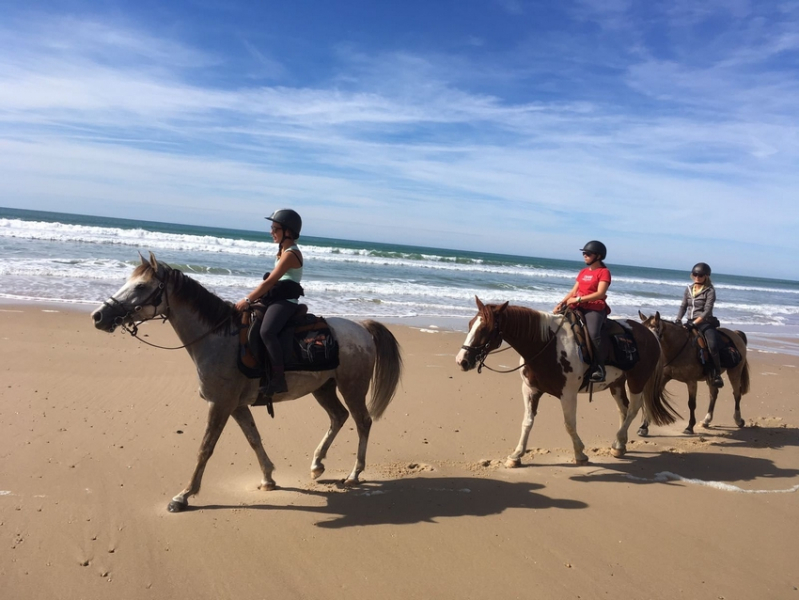 discover bordeaux on horseback