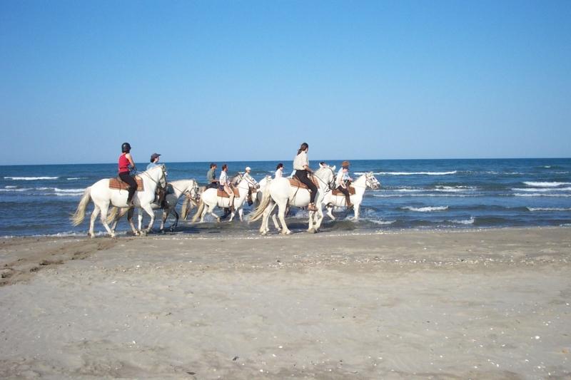 horseback riding in camargue