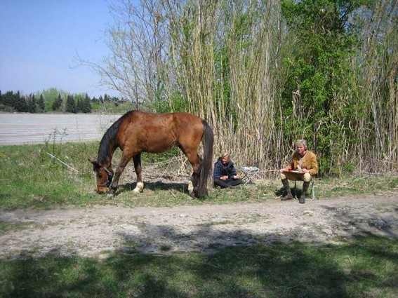 camargue horseback riding vacation