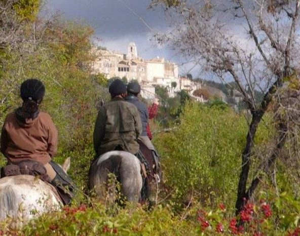 horse riding holidays in Provence