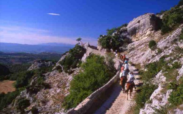 horseback trail ride in Provence