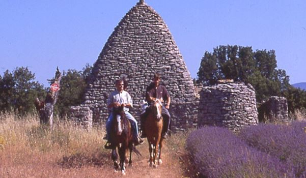 horse riding trail ride in Provence