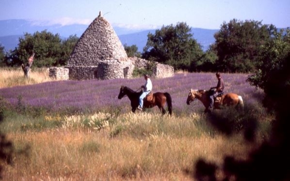 horse riding in Provence