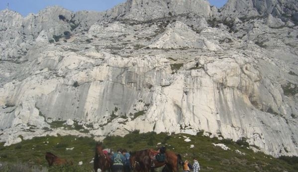 horse trail ride provence