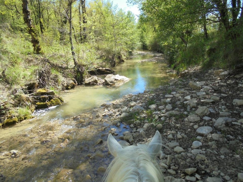 randonnee a cheval dans le Luberon