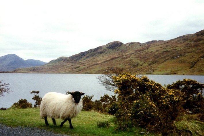 horse riding stay in ireland