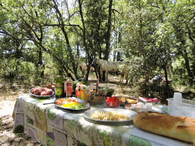 a cheval dans les Alpilles