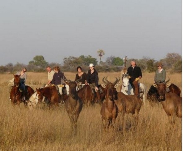 randonnee a cheval boswana