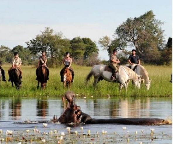 rando a cheval botswana