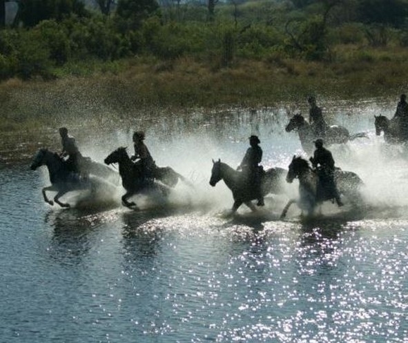 rando equestre botswana