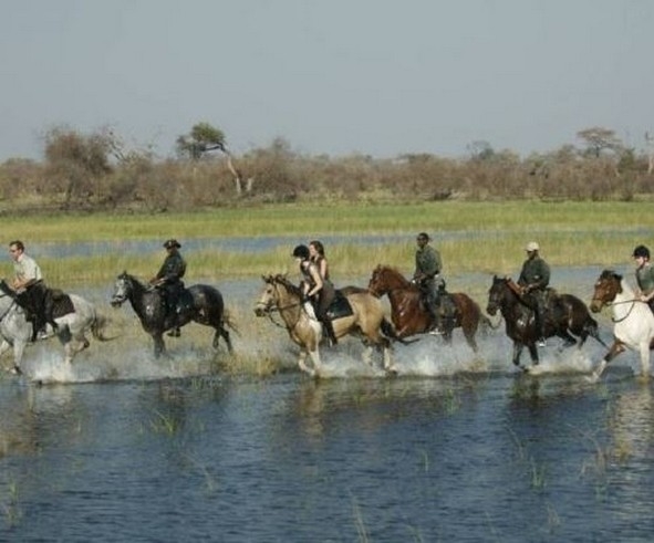 safari a cheval okavango