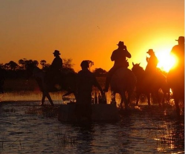 safari a cheval afrique