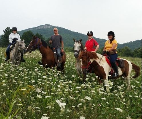 stage cheval Bulgarie