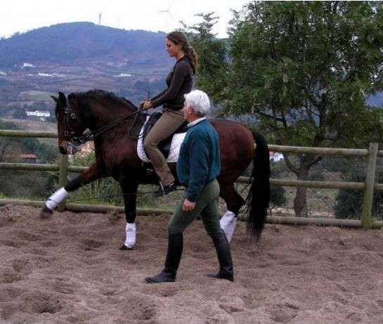 stage equitation portugaise