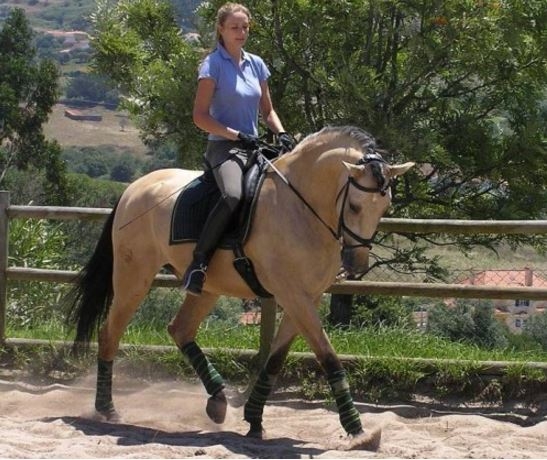 stage equitation portugal